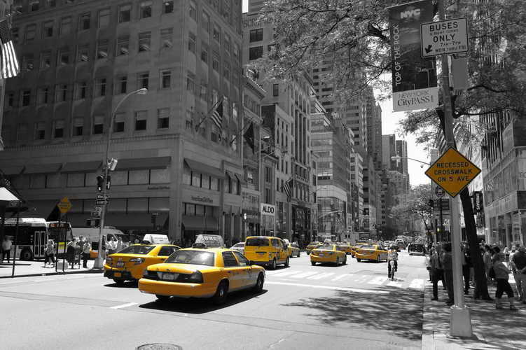 NYC_2015-06-22 12-32-49_IMG_5247